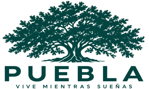 Puebla · Vive mientras sueñas